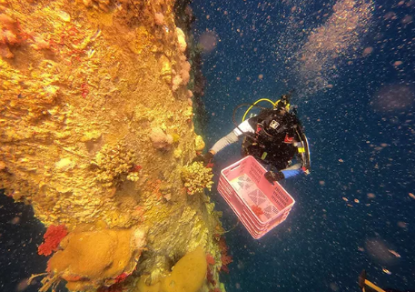 索樂圖導光管——減少碳排放，不再為垃圾分類煩惱！